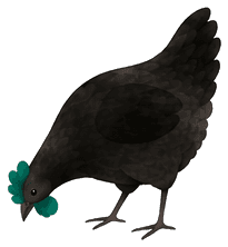 Flu, the Fluvia hen